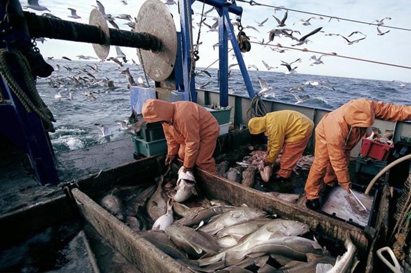 قرار محكمة العدل يهدم سنوات عمل طويلة مع الأوروبيين