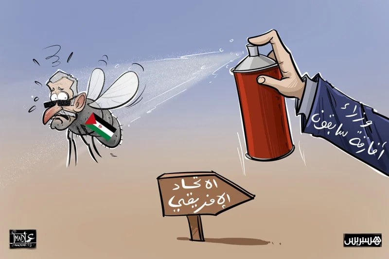 انضمام المغرب إلى الاتحاد الإفريقي و”طرد البوليساريو”.. مسارات وتعقيدات