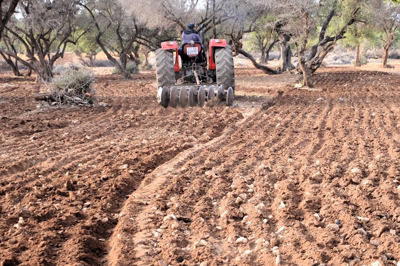 العوامل المؤثرة على توقعات نسبة النمو تقسم آراء اقتصاديين في المغرب