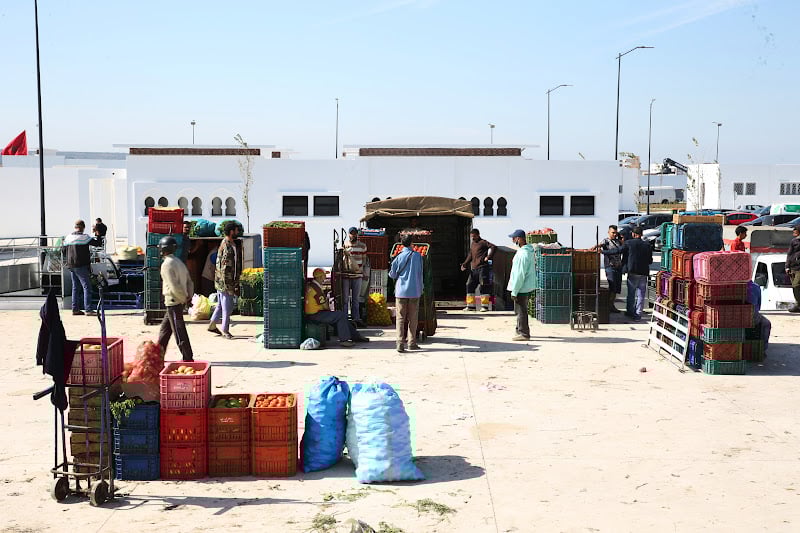 أكبر سوق للجملة بالمغرب يحقق أرقامًا قياسية رغم الجفاف وتراجع الإنتاج الفلاحي