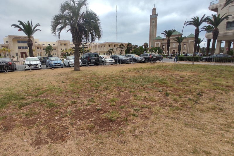 “الكونفدرالية” تأسف لذبول مدينة الزهور