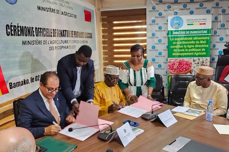 “مجموعة الفوسفاط أفريكا” تلتزم بمواكبة حلول الزراعة المستدامة في مالي