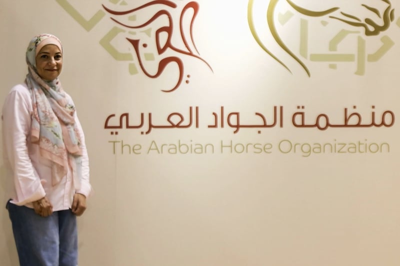 الحصان العربي يتفوق في الجمال .. و”البربري” في القوة والتحمل