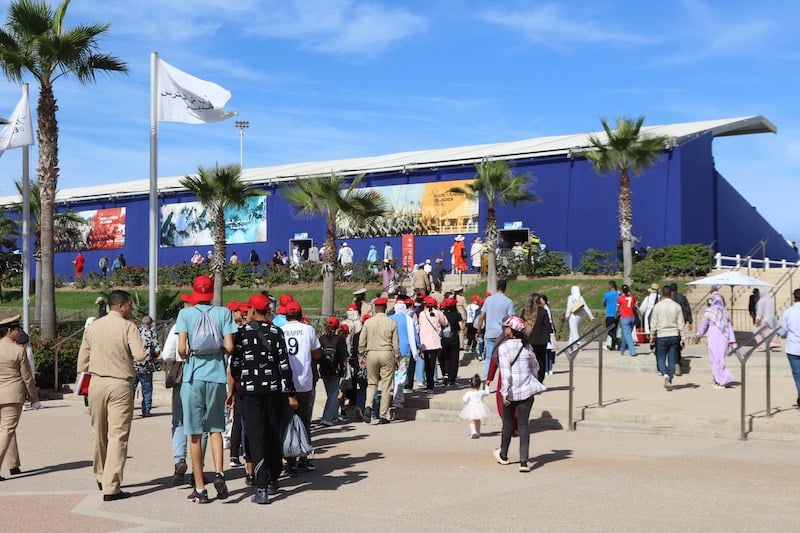 معرض الفرس بالجديدة يواصل جذب الزوار.. و”التبوريدة” تلقى متابعة واسعة