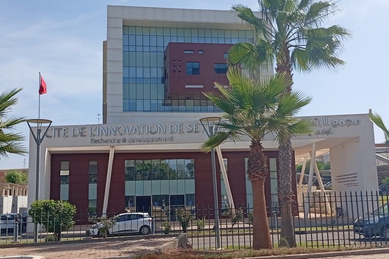 نقابة تنتقد طريقة التسيير بكلية اللغات