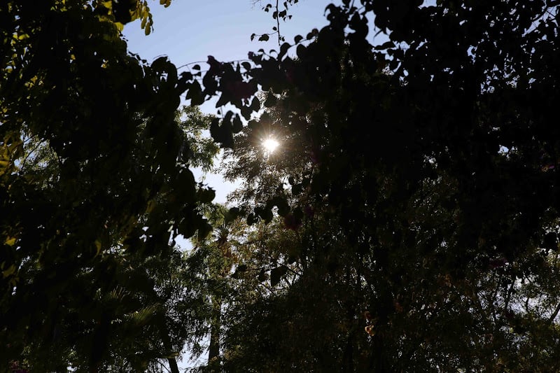 توقعات طقس اليوم الاثنين بالمغرب توقعات طقس اليوم الاثنين بالمغرب