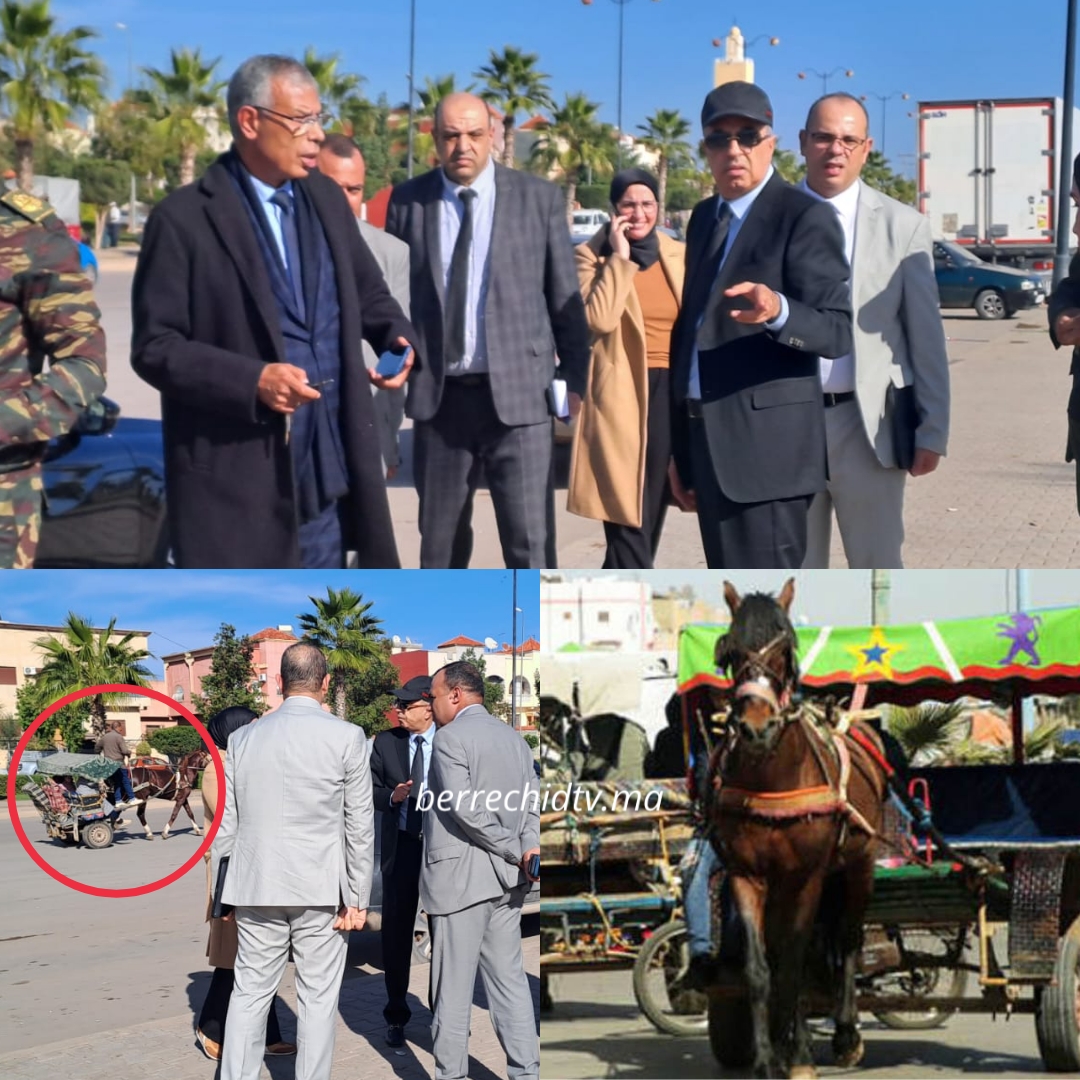 برشيد.. هل لفتت العربات المجرورة انتباه عامل الإقليم